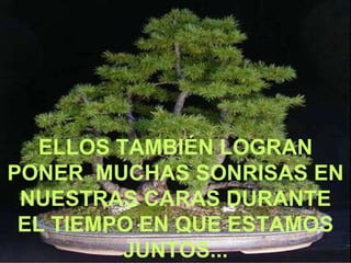 ELLOS TAMBIÉN LOGRAN PONER  MUCHAS SONRISAS EN NUESTRAS CARAS DURANTE EL TIEMPO EN QUE ESTAMOS JUNTOS... 