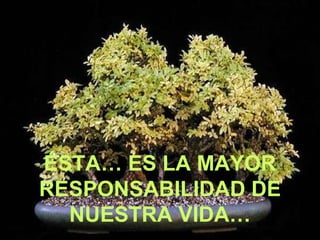 ÉSTA… ES LA MAYOR RESPONSABILIDAD DE NUESTRA VIDA… 
