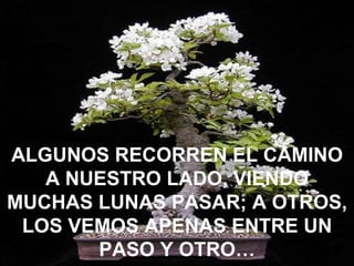 ALGUNOS RECORREN EL CAMINO A NUESTRO LADO, VIENDO MUCHAS LUNAS PASAR; A OTROS, LOS VEMOS APENAS ENTRE UN PASO Y OTRO… 
