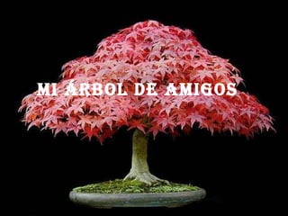 MI ÁRBOL DE AMI GOS   