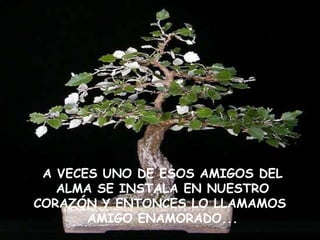 A VECES UNO DE ESOS AMIGOS DEL ALMA SE INSTALA EN NUESTRO CORAZÓN Y ENTONCES LO LLAMAMOS  AMIGO ENAMORADO... 