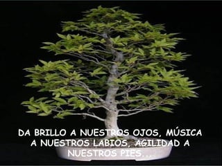 DA BRILLO A NUESTROS OJOS, MÚSICA A NUESTROS LABIOS, AGILIDAD A NUESTROS PIES... 
