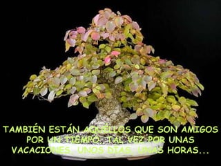 TAMBIÉN ESTÁN AQUÉLLOS QUE SON AMIGOS POR UN TIEMPO, TAL VEZ POR UNAS VACACIONES, UNOS DÍAS, UNAS HORAS... 
