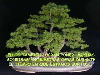 ELLOS TAMBIÉN LOGRAN PONER  MUCHAS SONRISAS EN NUESTRAS CARAS DURANTE EL TIEMPO EN QUE ESTAMOS JUNTOS... 