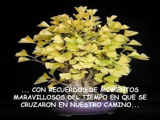 ... CON RECUERDOS DE MOMENTOS MARAVILLOSOS DEL TIEMPO EN QUE SE CRUZARON EN NUESTRO CAMINO... 