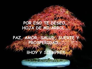 POR ESO TE DESEO,  HOJA DE MI ÁRBOL... PAZ, AMOR, SALUD, SUERTE Y PROSPERIDAD... ¡¡HOY Y SIEMPRE!!! 