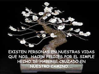 EXISTEN PERSONAS EN NUESTRAS VIDAS QUE NOS  HACEN FELICES POR EL SIMPLE HECHO DE HABERSE CRUZADO EN NUESTRO CAMINO... 