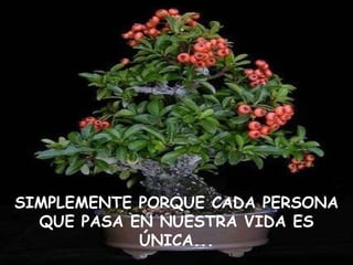 SIMPLEMENTE PORQUE CADA PERSONA QUE PASA EN NUESTRA VIDA ES ÚNICA... 