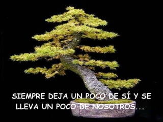 SIEMPRE DEJA UN POCO DE SÍ Y SE LLEVA UN POCO DE NOSOTROS...   