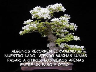 ALGUNOS RECORREN EL CAMINO A NUESTRO LADO, VIENDO MUCHAS LUNAS PASAR; A OTROS, LOS VEMOS APENAS ENTRE UN PASO Y OTRO… 