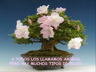 A TODOS LOS LLAMAMOS AMIGOS… PERO HAY MUCHOS TIPOS DE ELLOS… 