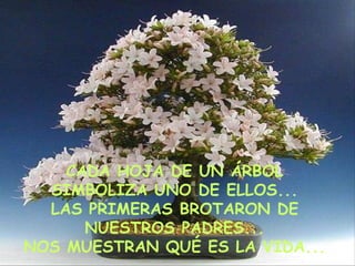 CADA HOJA DE UN ÁRBOL SIMBOLIZA UNO DE ELLOS... LAS PRIMERAS BROTARON DE NUESTROS PADRES... NOS MUESTRAN QUÉ ES LA VIDA... 