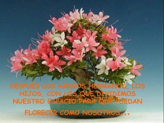 DESPUÉS LOS AMIGOS HERMANOS, LOS HIJOS, CON LOS QUE DIVIDIMOS NUESTRO ESPACIO PARA QUE PUEDAN FLORECER COMO NOSOTROS … 