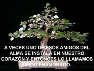 A VECES UNO DE ESOS AMIGOS DEL
ALMA SE INSTALA EN NUESTRO
CORAZÓN Y ENTONCES LO LLAMAMOS
AMIGO ENAMORADO...
 
