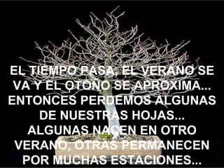 EL TIEMPO PASA, EL VERANO SE
 VA Y EL OTOÑO SE APROXIMA...
ENTONCES PERDEMOS ALGUNAS
     DE NUESTRAS HOJAS...
   ALGUNAS NACEN EN OTRO
 VERANO, OTRAS PERMANECEN
  POR MUCHAS ESTACIONES...
 