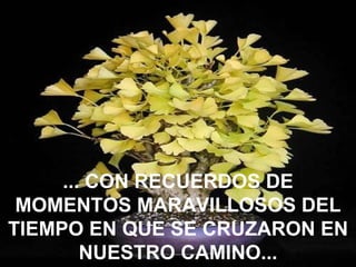 ... CON RECUERDOS DE
 MOMENTOS MARAVILLOSOS DEL
TIEMPO EN QUE SE CRUZARON EN
        NUESTRO CAMINO...
 