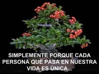 SIMPLEMENTE PORQUE CADA
PERSONA QUE PASA EN NUESTRA
       VIDA ES ÚNICA...
 