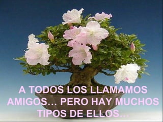 A TODOS LOS LLAMAMOS
AMIGOS… PERO HAY MUCHOS
     TIPOS DE ELLOS…
 