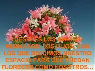 DESPUÉS LOS AMIGOS
  HERMANOS, LOS HIJOS, CON
 LOS QUE DIVIDIMOS NUESTRO
 ESPACIO PARA QUE PUEDAN
FLORECER COMO NOSOTROS…
 