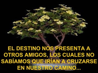 EL DESTINO NOS PRESENTA A
 OTROS AMIGOS, LOS CUALES NO
SABÍAMOS QUE IRÍAN A CRUZARSE
     EN NUESTRO CAMINO...
 