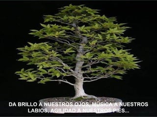 DA BRILLO A NUESTROS OJOS, MÚSICA A NUESTROS LABIOS, AGILIDAD A NUESTROS PIES... 