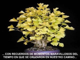 ... CON RECUERDOS DE MOMENTOS MARAVILLOSOS DEL TIEMPO EN QUE SE CRUZARON EN NUESTRO CAMINO... 