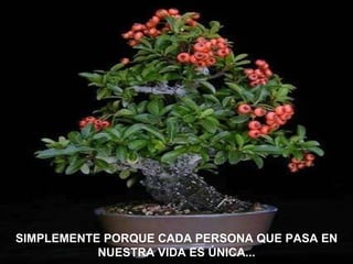 SIMPLEMENTE PORQUE CADA PERSONA QUE PASA EN NUESTRA VIDA ES ÚNICA... 