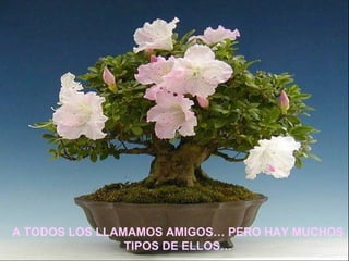 A TODOS LOS LLAMAMOS AMIGOS… PERO HAY MUCHOS TIPOS DE ELLOS… 