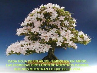 CADA HOJA DE UN ÁRBOL SIMBOLIZA UN AMIGO... LAS PRIMERAS BROTARON DE NUESTROS PADRES... QUE NOS MUESTRAN LO QUE ES LA VIDA... 
