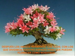 DESPUÉS LOS AMIGOS HERMANOS, LOS HIJOS, CON LOS QUE DIVIDIMOS NUESTRO ESPACIO PARA QUE PUEDAN FLORECER COMO NOSOTROS… 