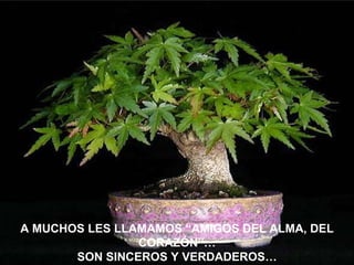 A MUCHOS LES LLAMAMOS “AMIGOS DEL ALMA, DEL CORAZÓN”… SON SINCEROS Y VERDADEROS… 