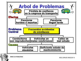 ÁRBOL DE PROBLEMAS
                     MSC.CARLOS MASSUH V.
 
