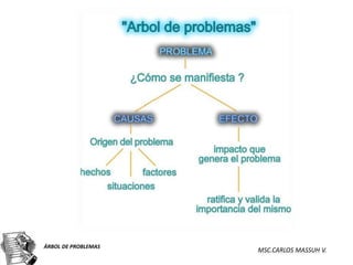 ÁRBOL DE PROBLEMAS
                     MSC.CARLOS MASSUH V.
 