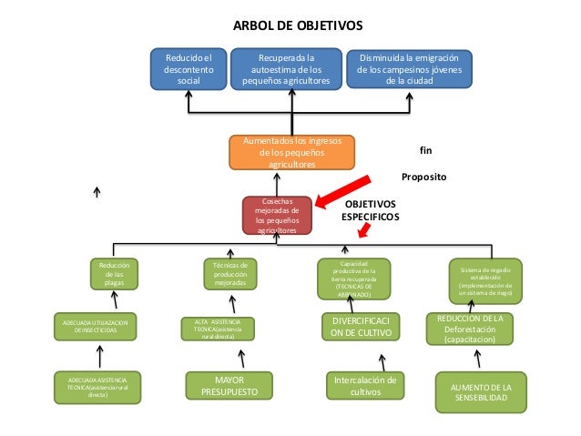 Arbol de problemas