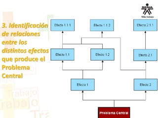 3. Identificación
de relaciones
entre los
distintos efectos
que produce el
Problema
Central
 