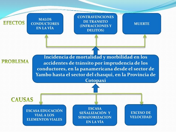 Arbol de problemas final