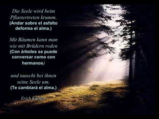 Die Seele wird beim Pflastertreten krumm. (Andar sobre el asfalto deforma el alma.) Mit Bäumen kann man wie mit Brüdern reden (Con árboles se puede conversar como con hermanos ) und tauscht bei ihnen seine Seele um. (Te cambiará el alma.) Erich Kästner 