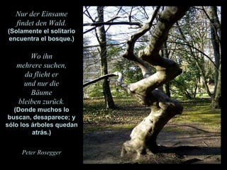 Nur der Einsame findet den Wald. (Solamente el solitario encuentra el bosque.) Wo ihn mehrere suchen, da flieht er und nur die Bäume bleiben zurück . (Donde muchos lo buscan, desaparece; y sólo los árboles quedan atrás.) Peter Rosegger 