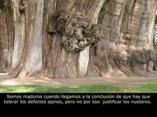 Somos maduros cuando llegamos a la conclusión de que hay que tolerar los defectos ajenos, pero no por eso  justificar los nuestros.  