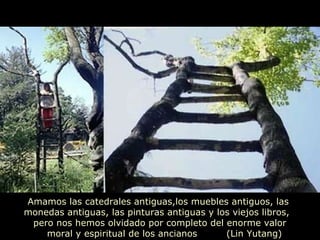 Amamos las catedrales antiguas,los muebles antiguos, las monedas antiguas, las pinturas antiguas y los viejos libros,  pero nos hemos olvidado por completo del enorme valor  moral y espiritual de los ancianos  (Lin Yutang) 