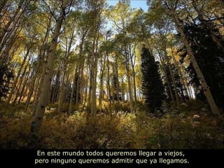 En este mundo todos queremos llegar a viejos,  pero ninguno queremos admitir que ya llegamos. 