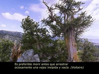 Es preferible morir antes que arrastrar ociosamente una vejez insípida y vacía.  (Voltaire) 