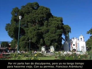Por mi parte han de disculparme, pero yo no tengo tiempo  para hacerme viejo. Con su permiso.  Francisco Arámburo)   