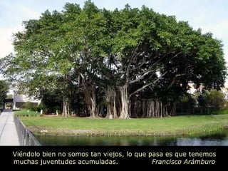 Viéndolo bien no somos tan viejos, lo que pasa es que tenemos muchas juventudes acumuladas.  Francisco Arámburo 