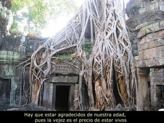 Hay que estar agradecidos de nuestra edad,  pues la vejez es el precio de estar vivos 