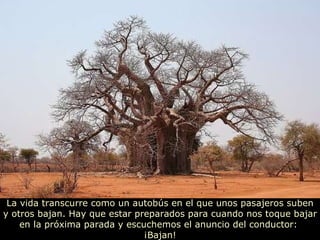 La vida transcurre como un autobús en el que unos pasajeros suben y otros bajan. Hay que estar preparados para cuando nos toque bajar en la próxima parada y escuchemos el anuncio del conductor:  ¡Bajan! 