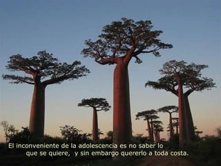 El inconveniente de la adolescencia es no saber lo  que se quiere,  y sin embargo quererlo a toda costa. 