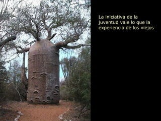 La iniciativa de la juventud vale lo que la experiencia de los viejos 