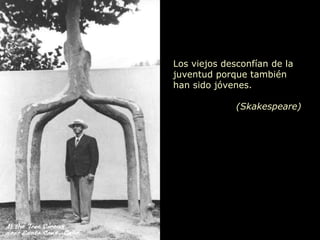 Los viejos desconfían de la juventud porque también  han sido jóvenes.  (Skakespeare) 