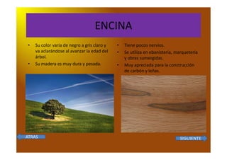 ENCINA
 •   Su color varia de negro a gris claro y   •   Tiene pocos nervios.
     va aclarándose al avanzar la edad del    •   Se utiliza en ebanistería, marquetería
     árbol.                                       y obras sumergidas.
 •   Su madera es muy dura y pesada.          •   Muy apreciada para la construcción
                                                  de carbón y leñas.




ATRAS                                                                         SIGUIENTE
 